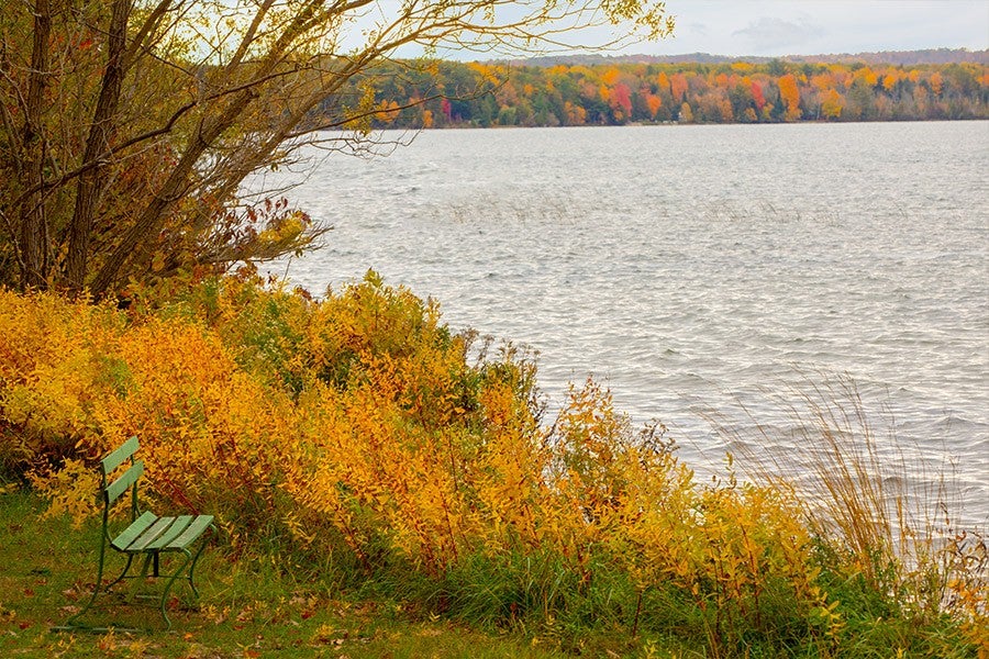 Fall scenic overlooking Green Lake interlochen arts academy