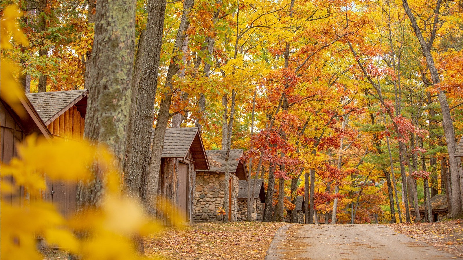 Fall scenic of Interlochen Arts Camp practice huts