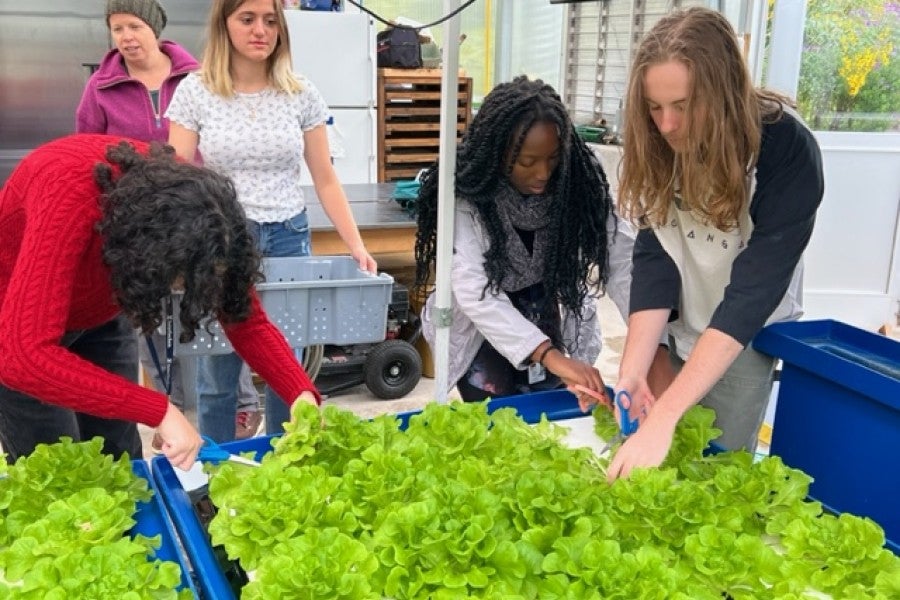 Aquaponics at Interlochen Center for the Arts