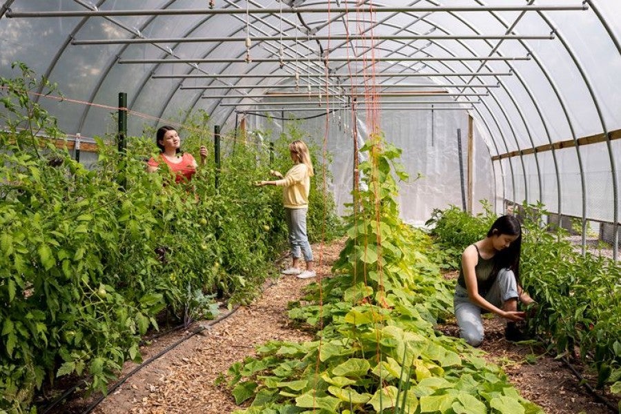 Arts Academy students at work in one of Interlochen's hoophouses.